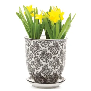 4.25" Liberte Pot Black Owls
