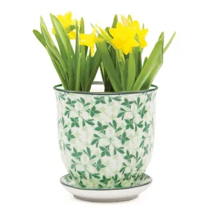 4.25" Liberte Pot Green Leave