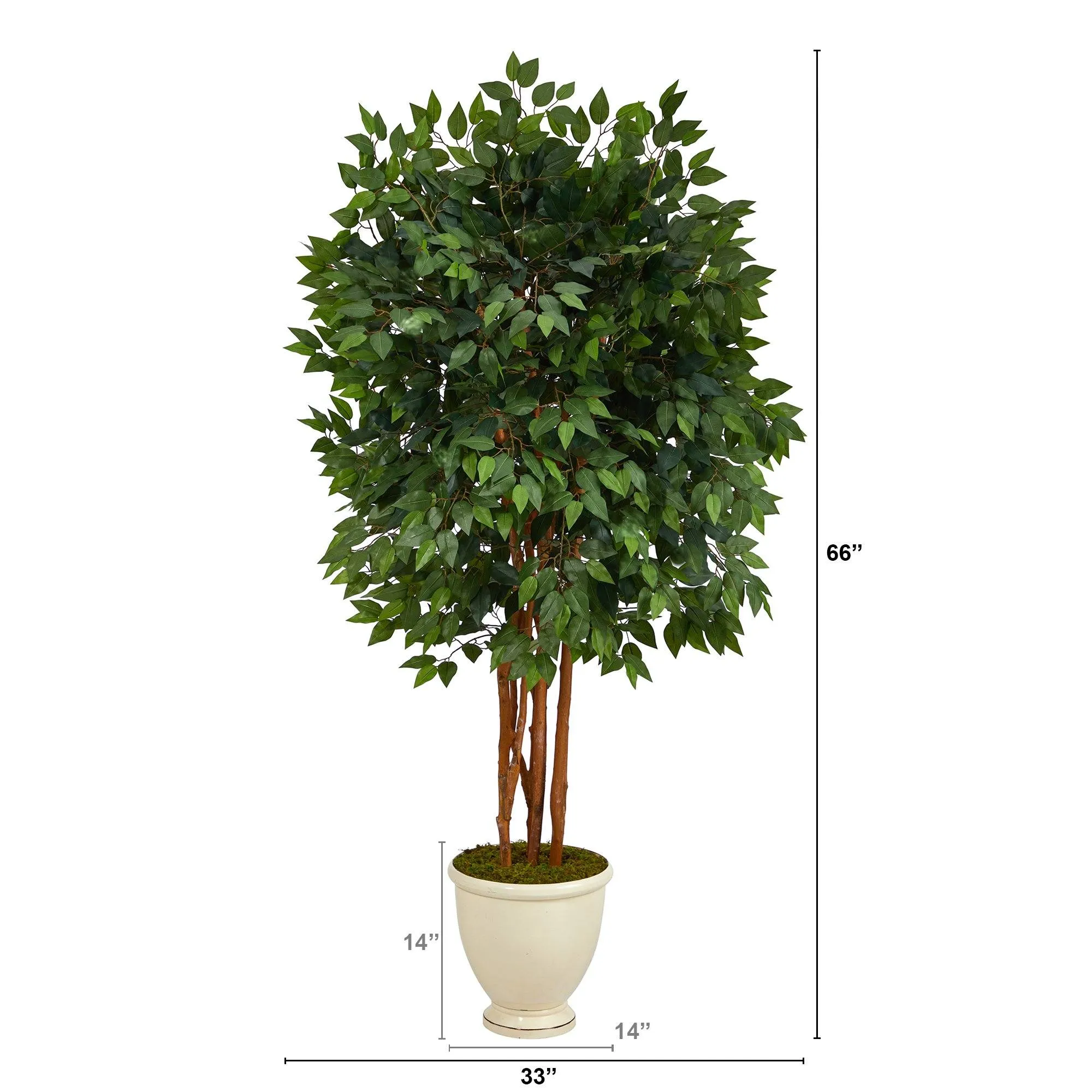 5.5’ Super Deluxe Ficus Artificial Tree in Decorative Urn