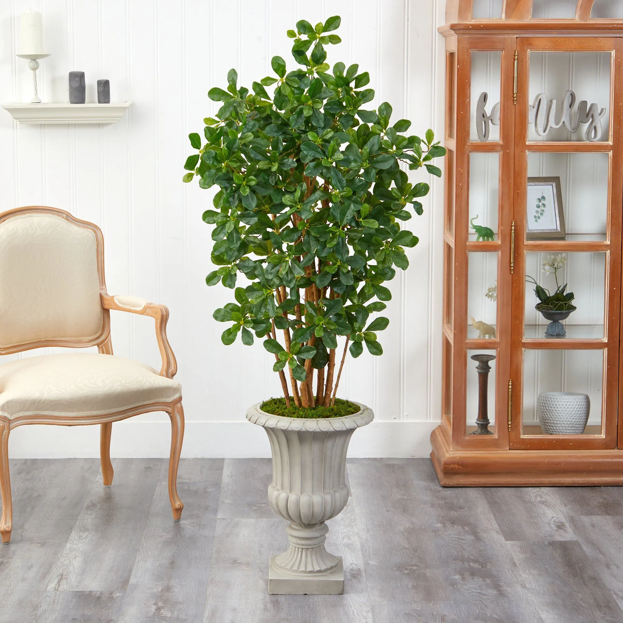 63” Black Olive Artificial Tree in Sand Finished Urn
