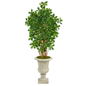 63” Black Olive Artificial Tree in Sand Finished Urn