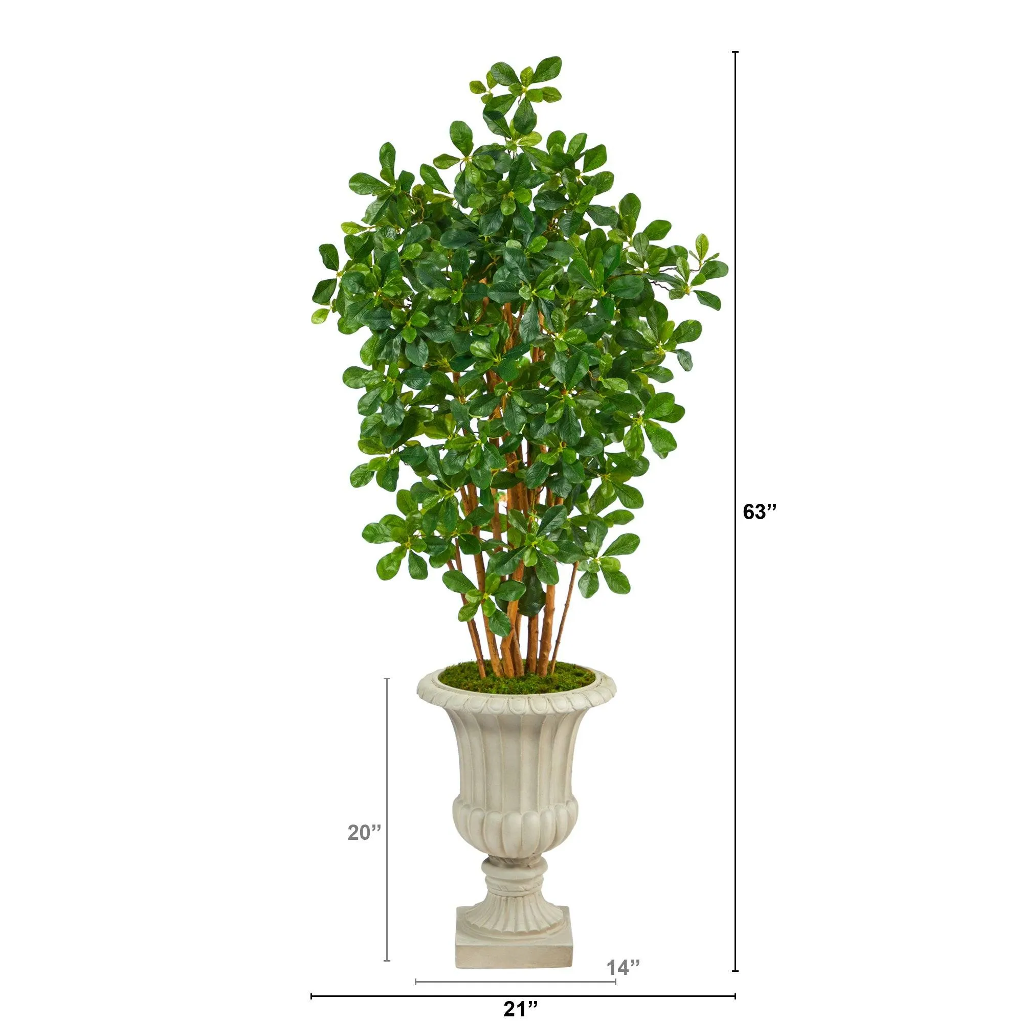 63” Black Olive Artificial Tree in Sand Finished Urn