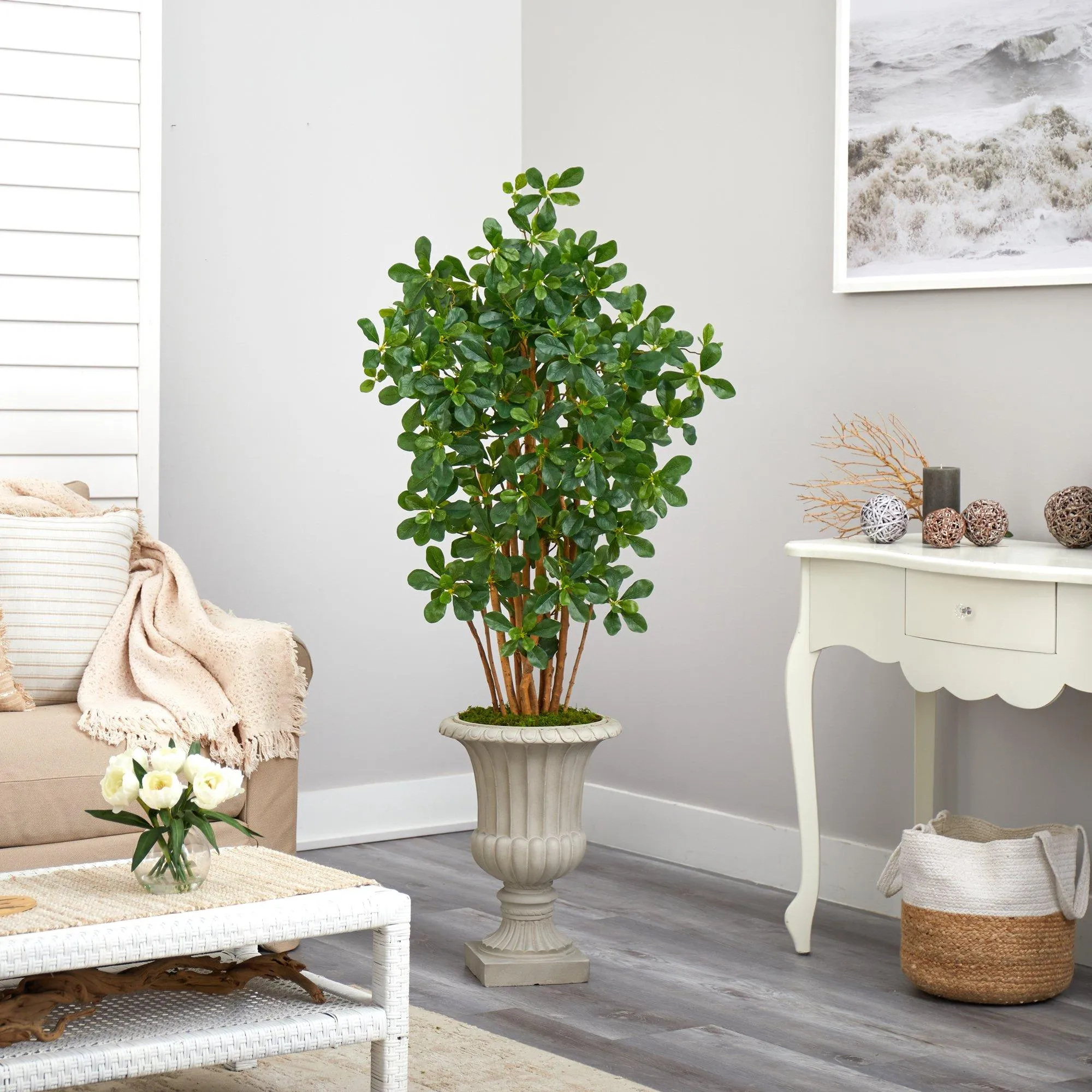 63” Black Olive Artificial Tree in Sand Finished Urn