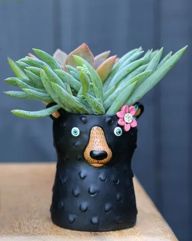 Baby Bear | Black | Planter
