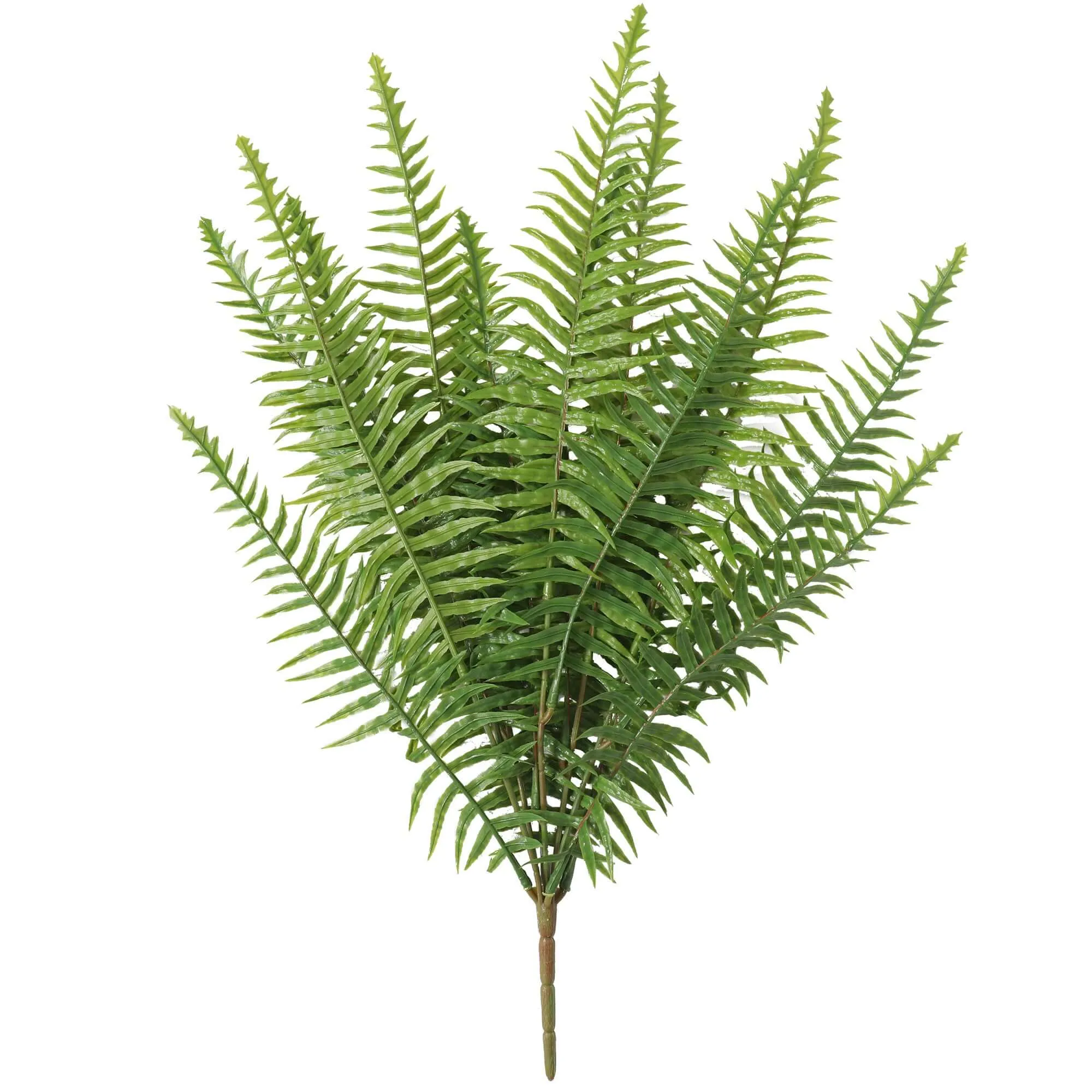 Boston Fern Ruffle Bush (UV) 52cm