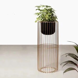 Botanic Couture Planters - Big - Black