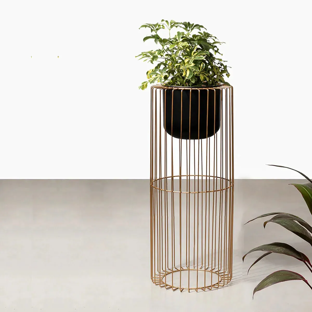 Botanic Couture Planters - Big - Black