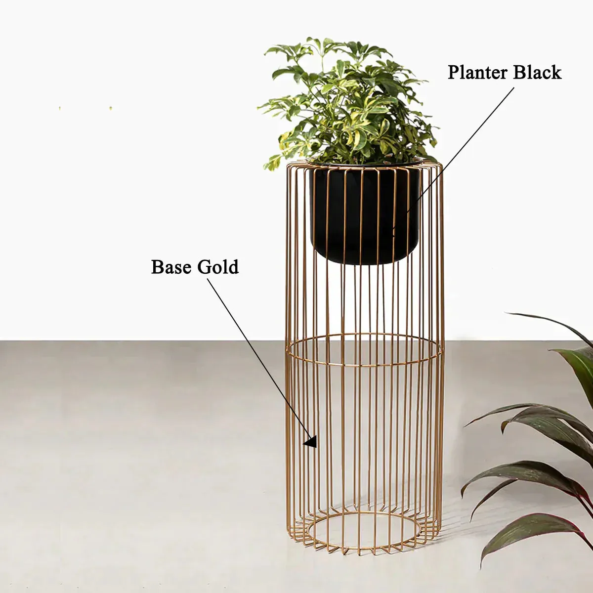 Botanic Couture Planters - Big - Black