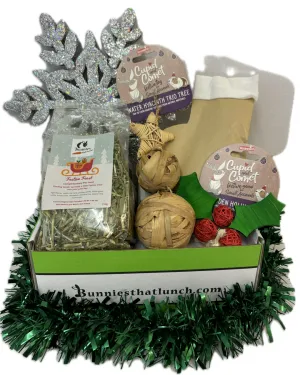 Bunny Christmas Box - BRONZE