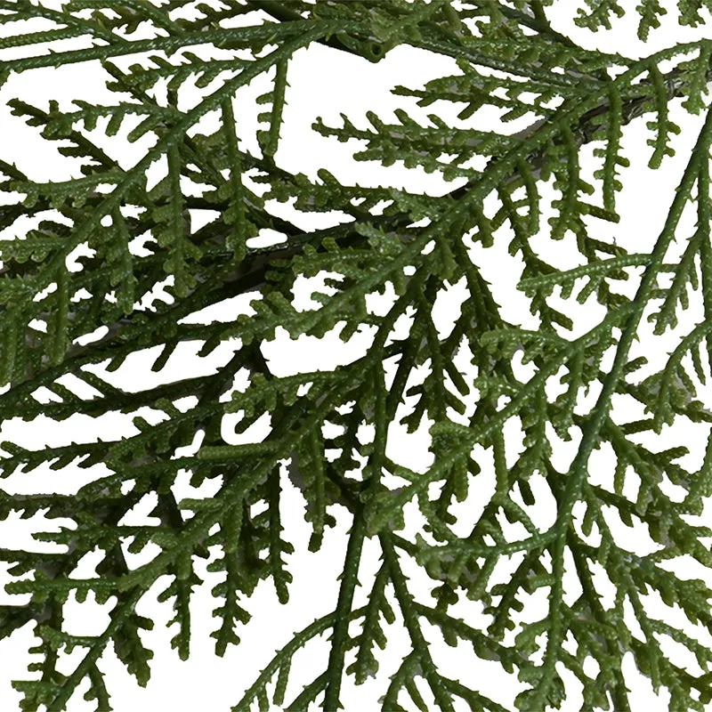 Cedar Spray 24"