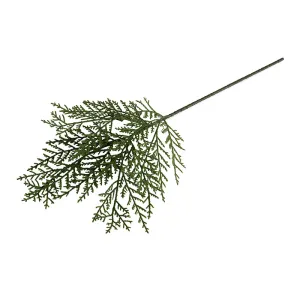 Cedar Spray 24"