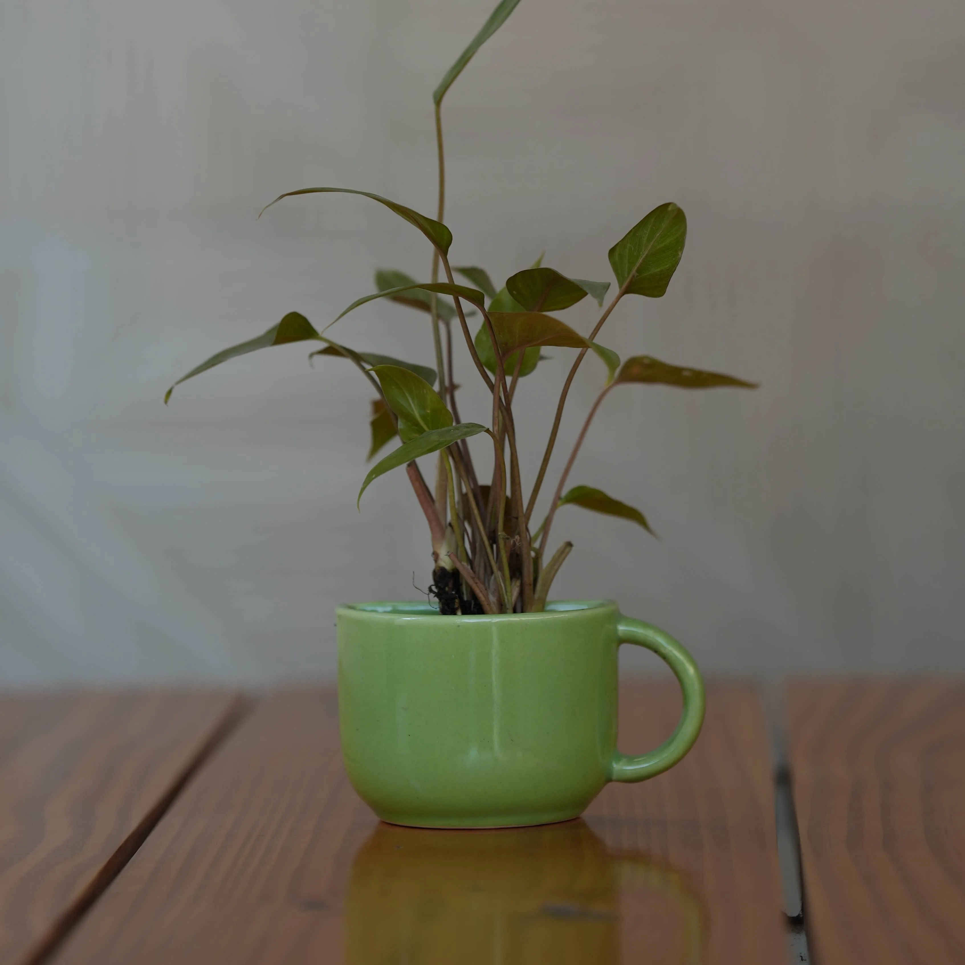 Ceramic Small Half Cup Shape Pot