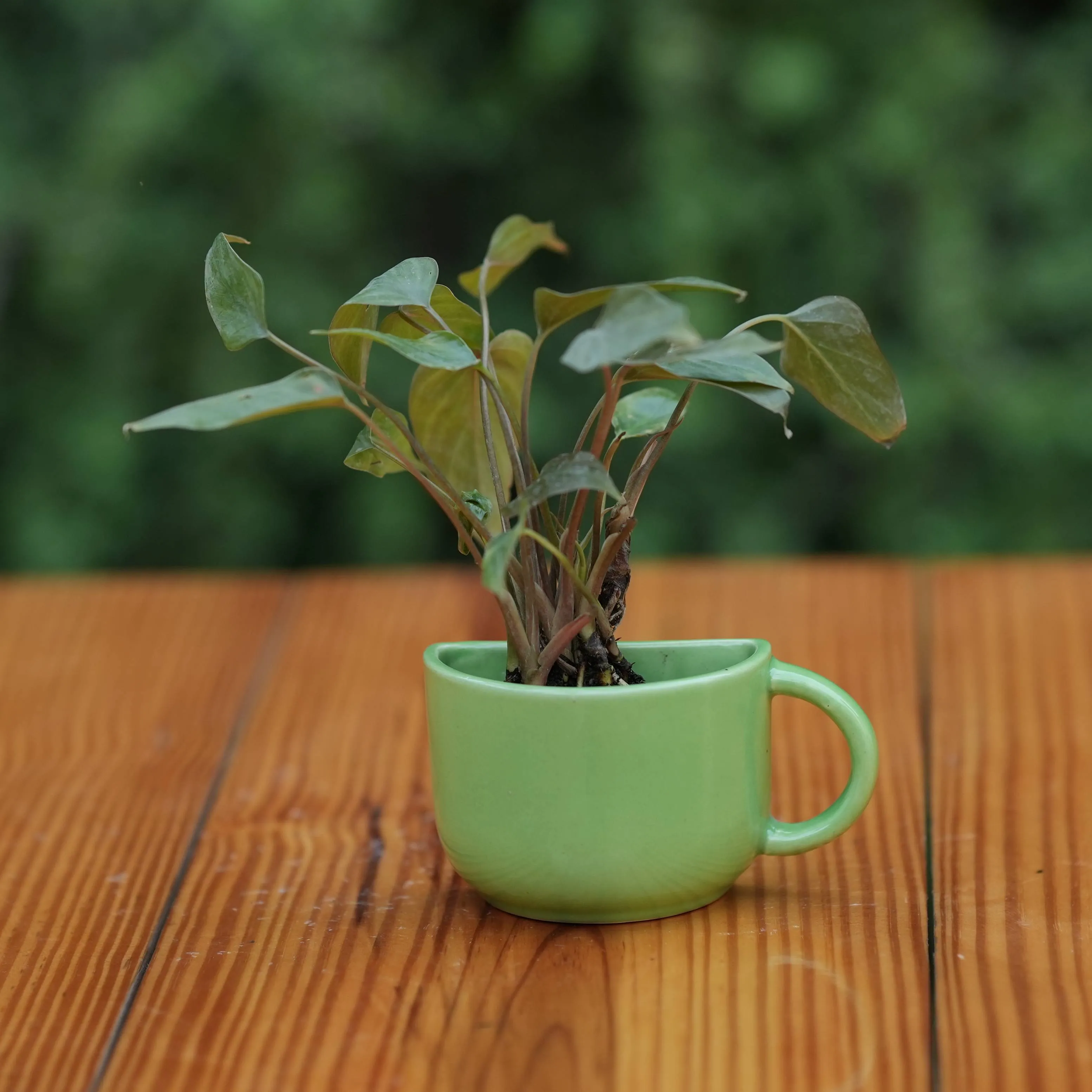 Ceramic Small Half Cup Shape Pot