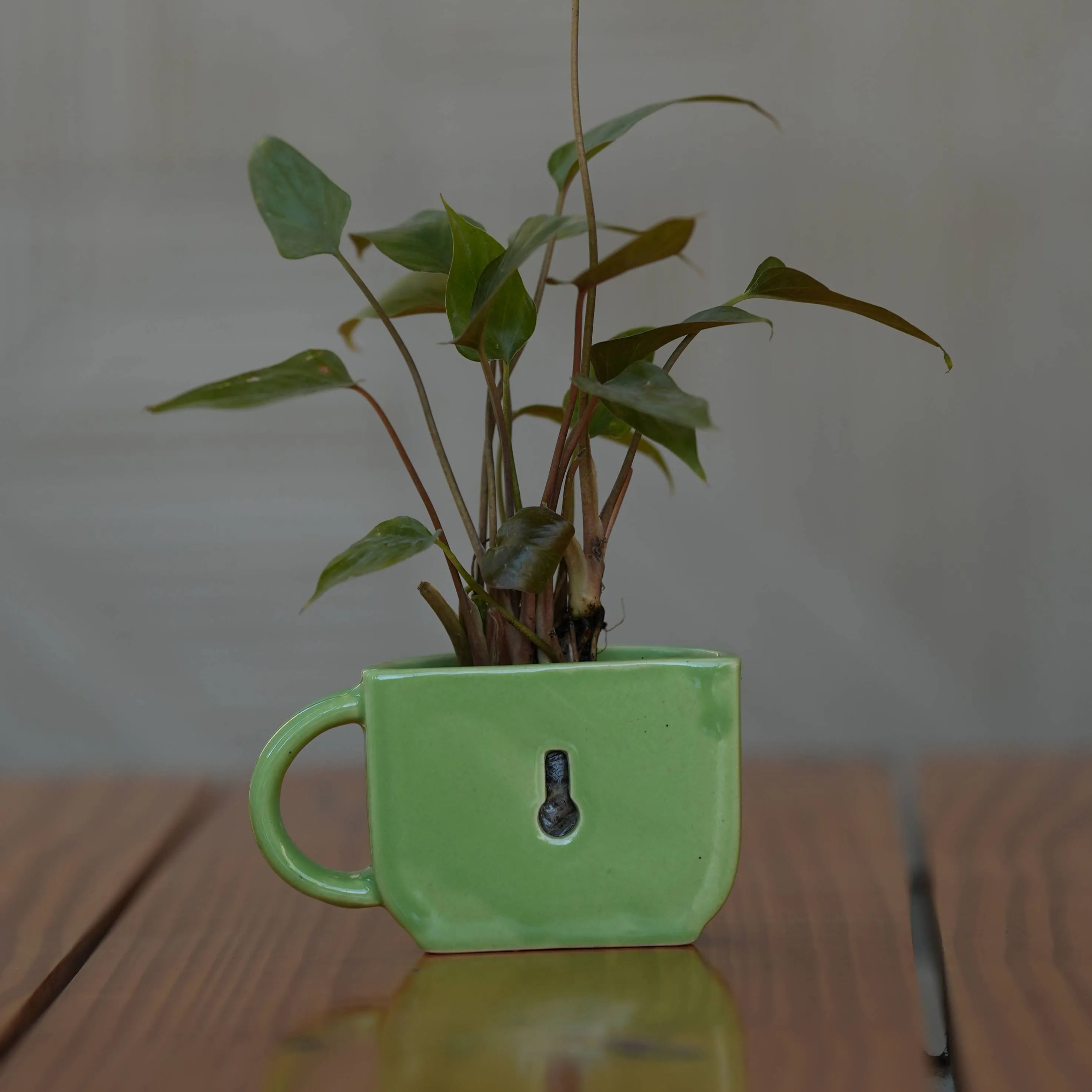 Ceramic Small Half Cup Shape Pot