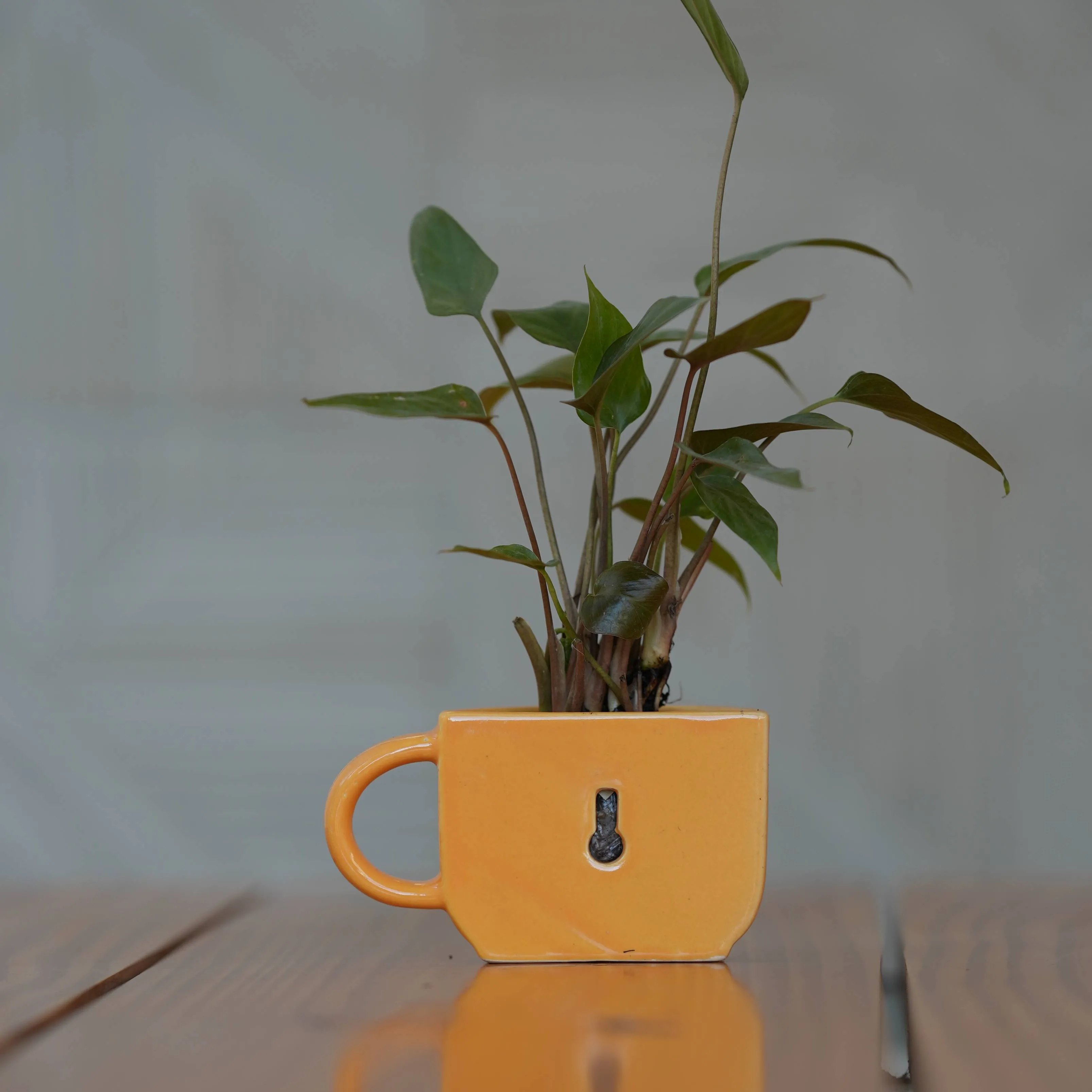 Ceramic Small Half Cup Shape Pot