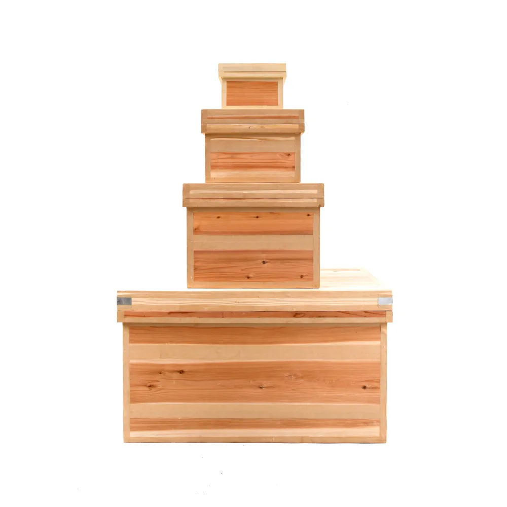 Chabako Storage Box
