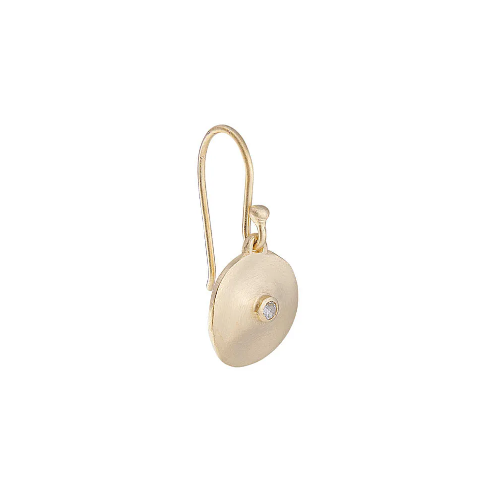 CLEO DISC HOOKS