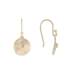 CLEO DISC HOOKS