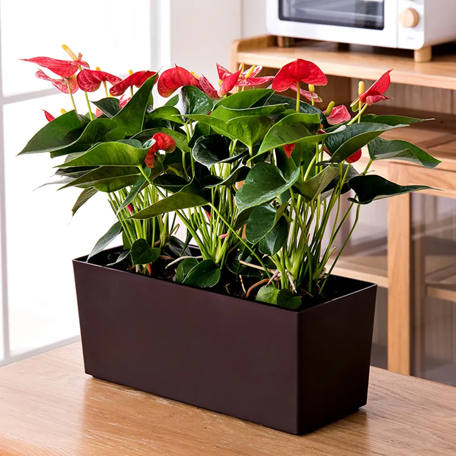 Cronos Balcony Pot