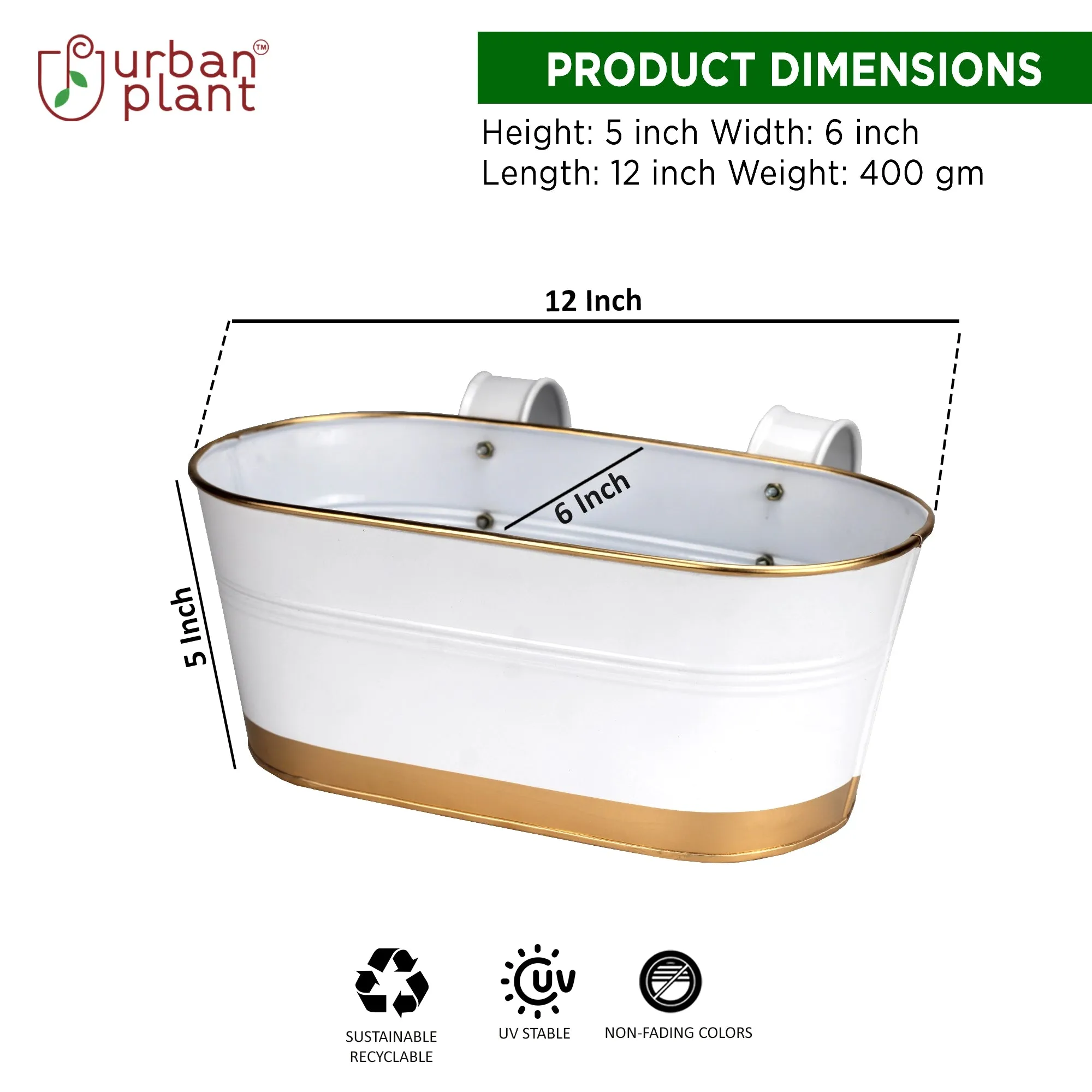 Curvian Hanging Planter - (Set of 5)