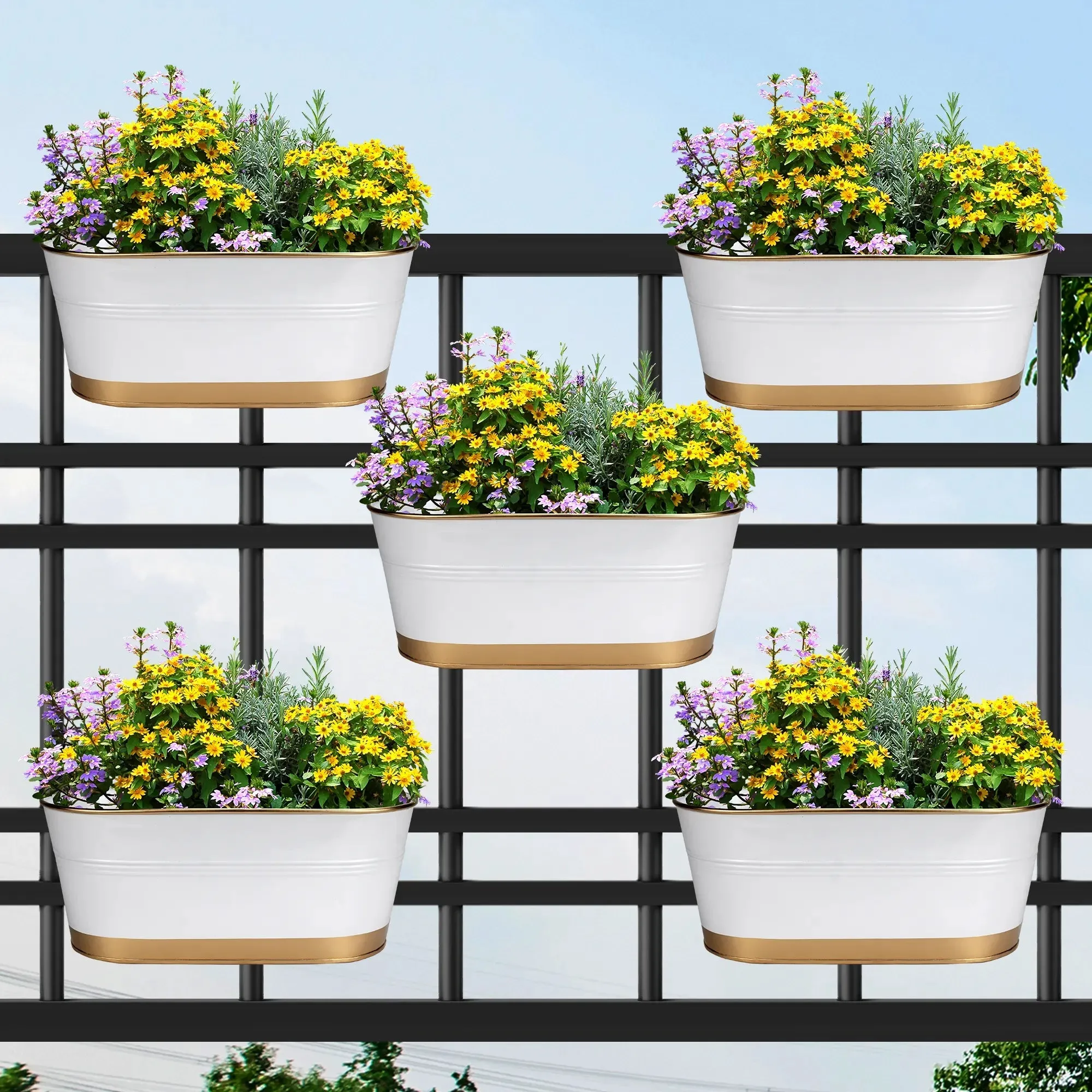 Curvian Hanging Planter - (Set of 5)