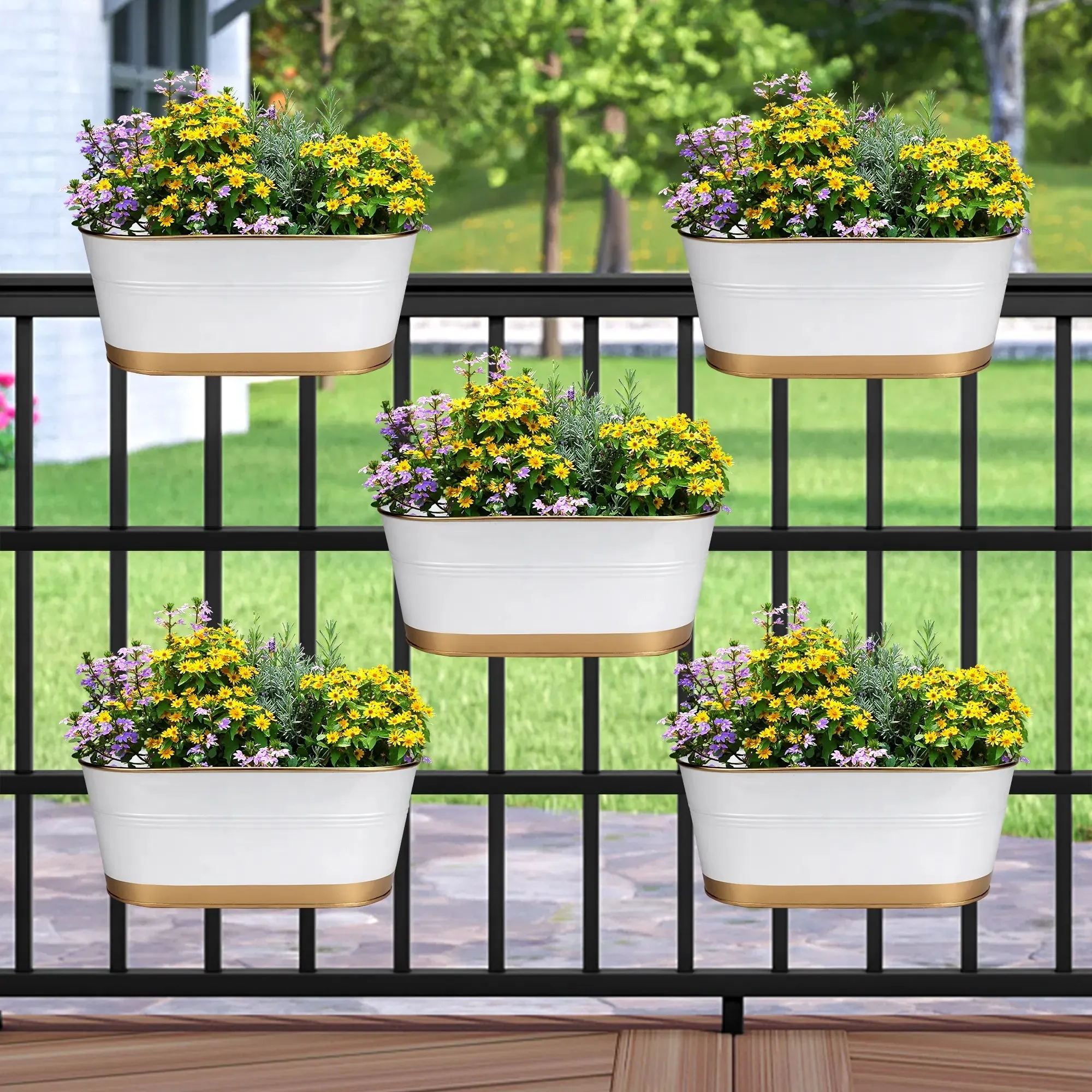 Curvian Hanging Planter - (Set of 5)