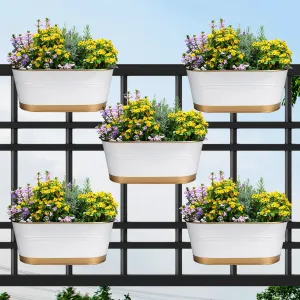 Curvian Hanging Planter - (Set of 5)
