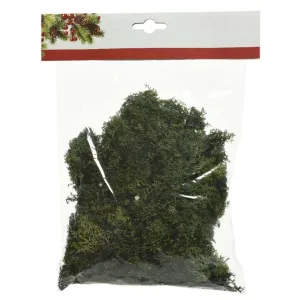Decoris 100g Bag of Tillandsia Moss