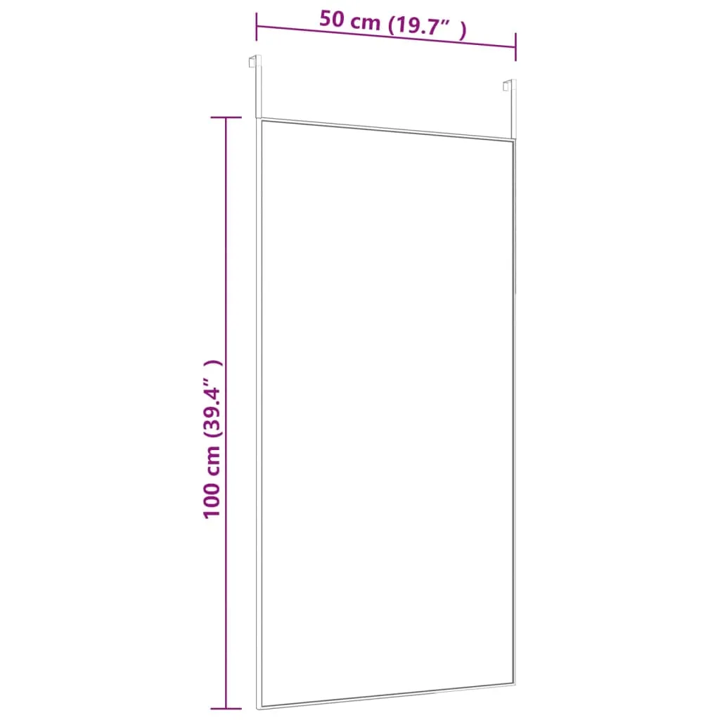 Door Mirror Gold 50x100 cm Glass and Aluminium