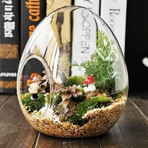 Egg Glass Terrarium 6/pk