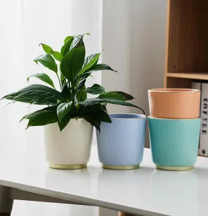 Embossed Pastel Ceramic Planter with Gold Base - Modern Indoor Pot