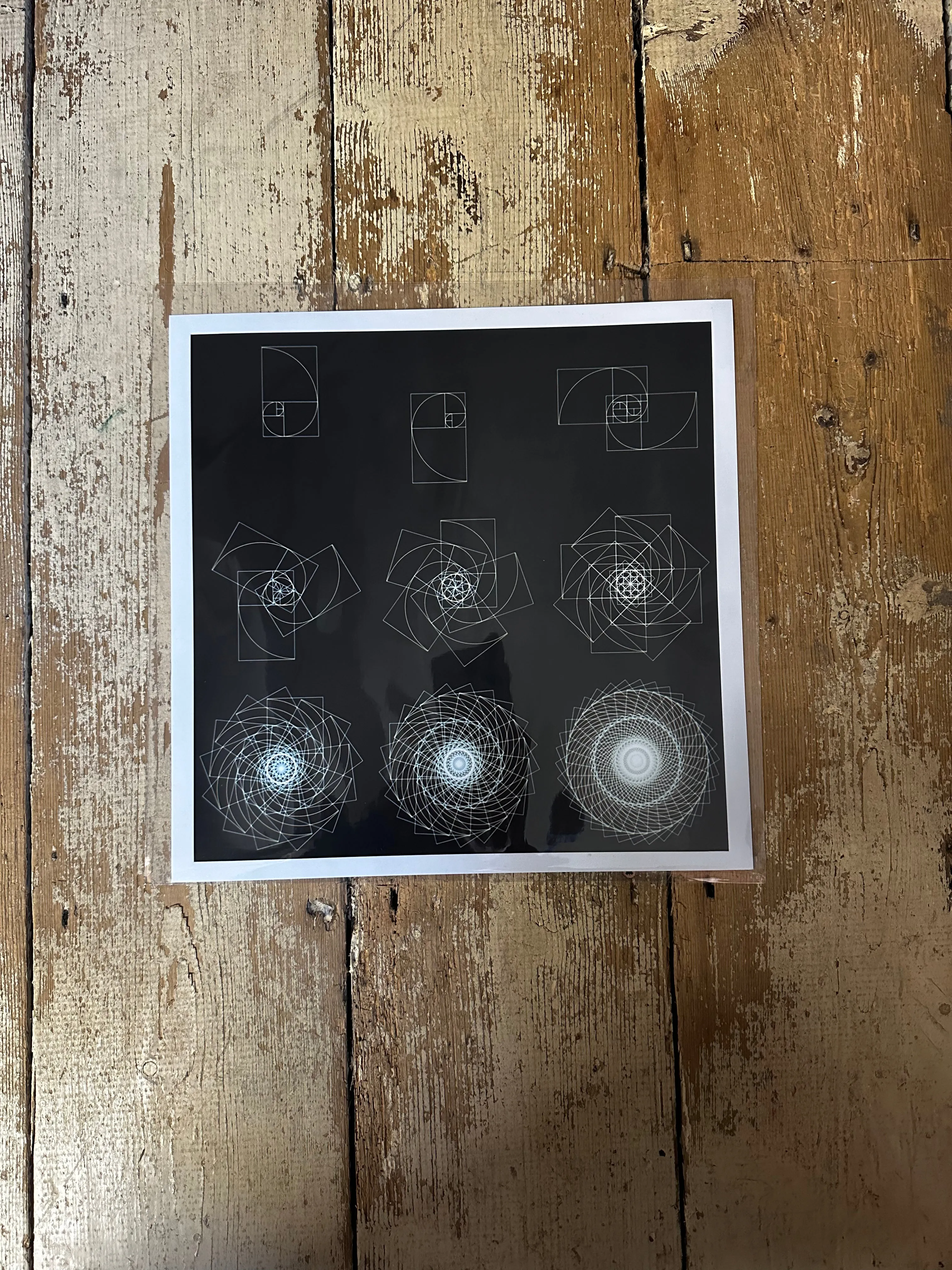 Fibonacci Sequence  C-Type Print
