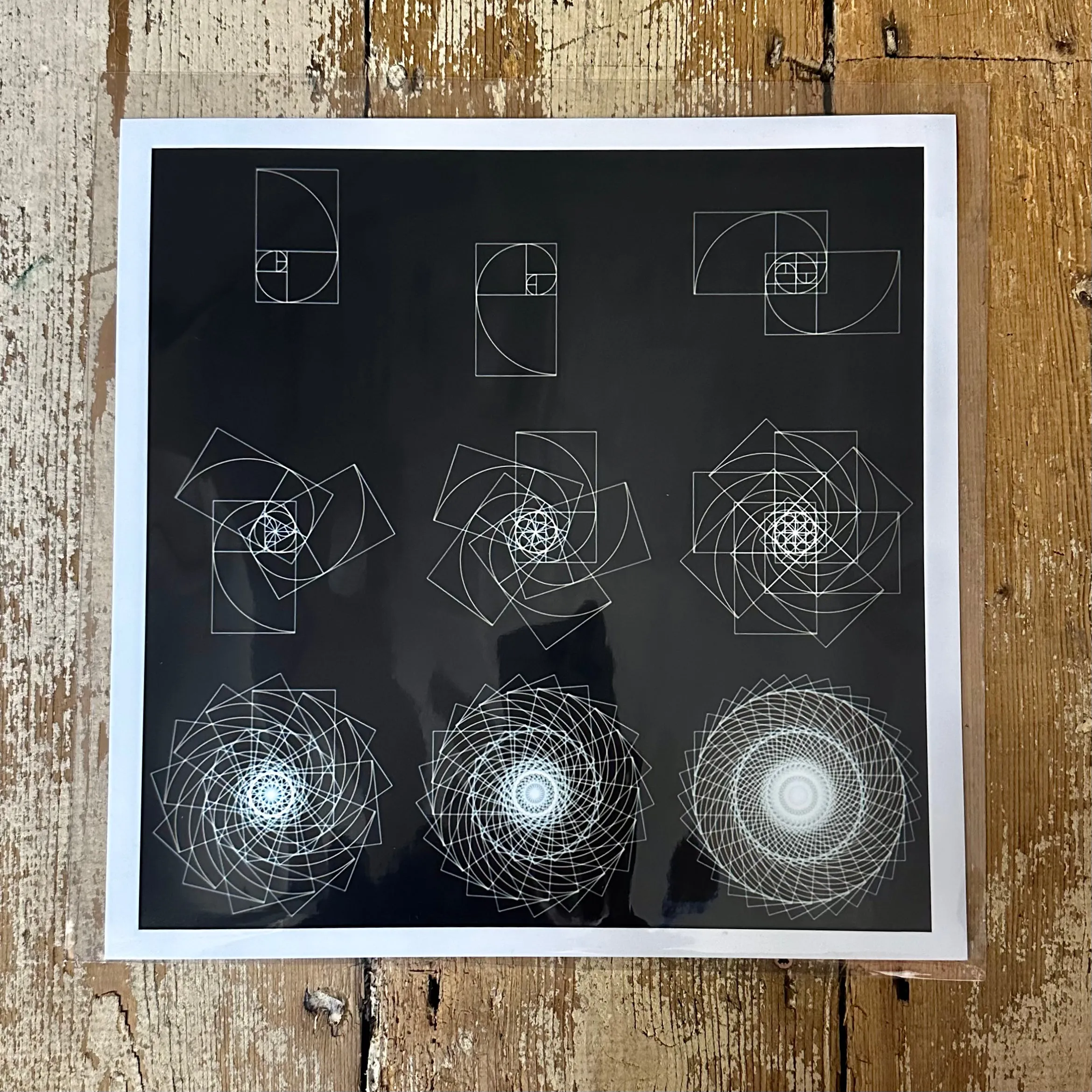 Fibonacci Sequence  C-Type Print