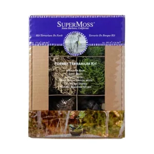 Forest Terrarium Kit
