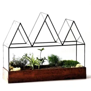 Fortune's Case Terrarium