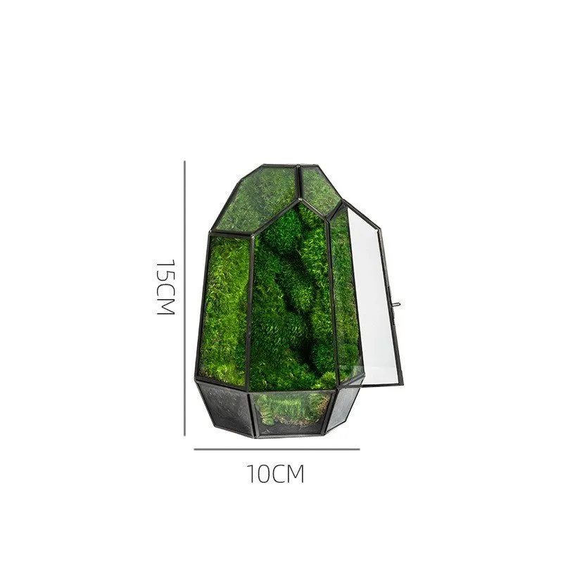 Geometric Terrarium