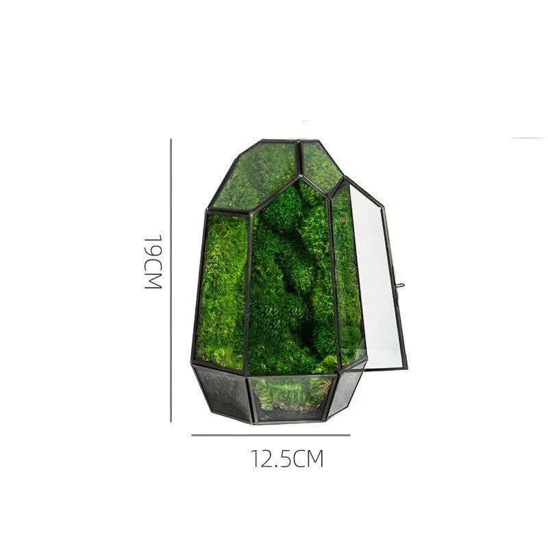 Geometric Terrarium
