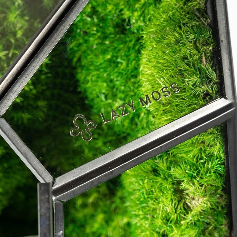 Geometric Terrarium