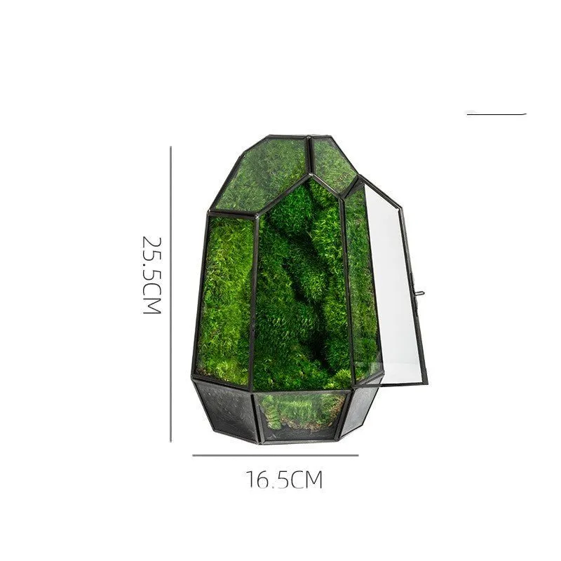 Geometric Terrarium