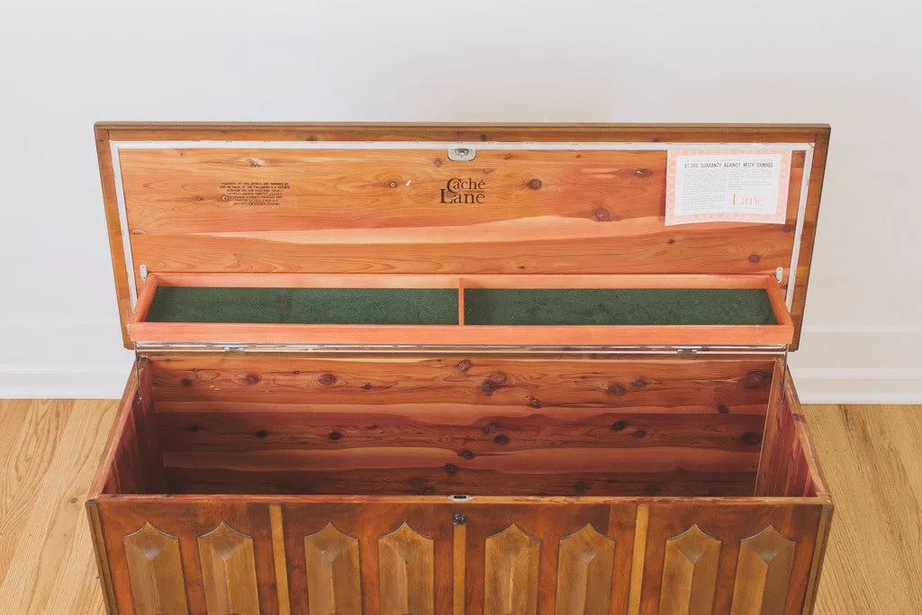 MCM Lane Trunk