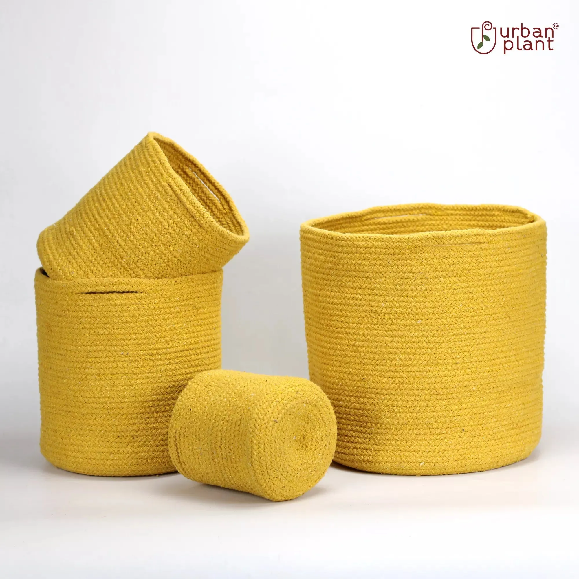 Medallion Cotton Planter - (Set of 4)