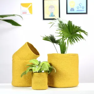 Medallion Cotton Planter - (Set of 4)
