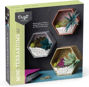 Mini Terrarium Kit