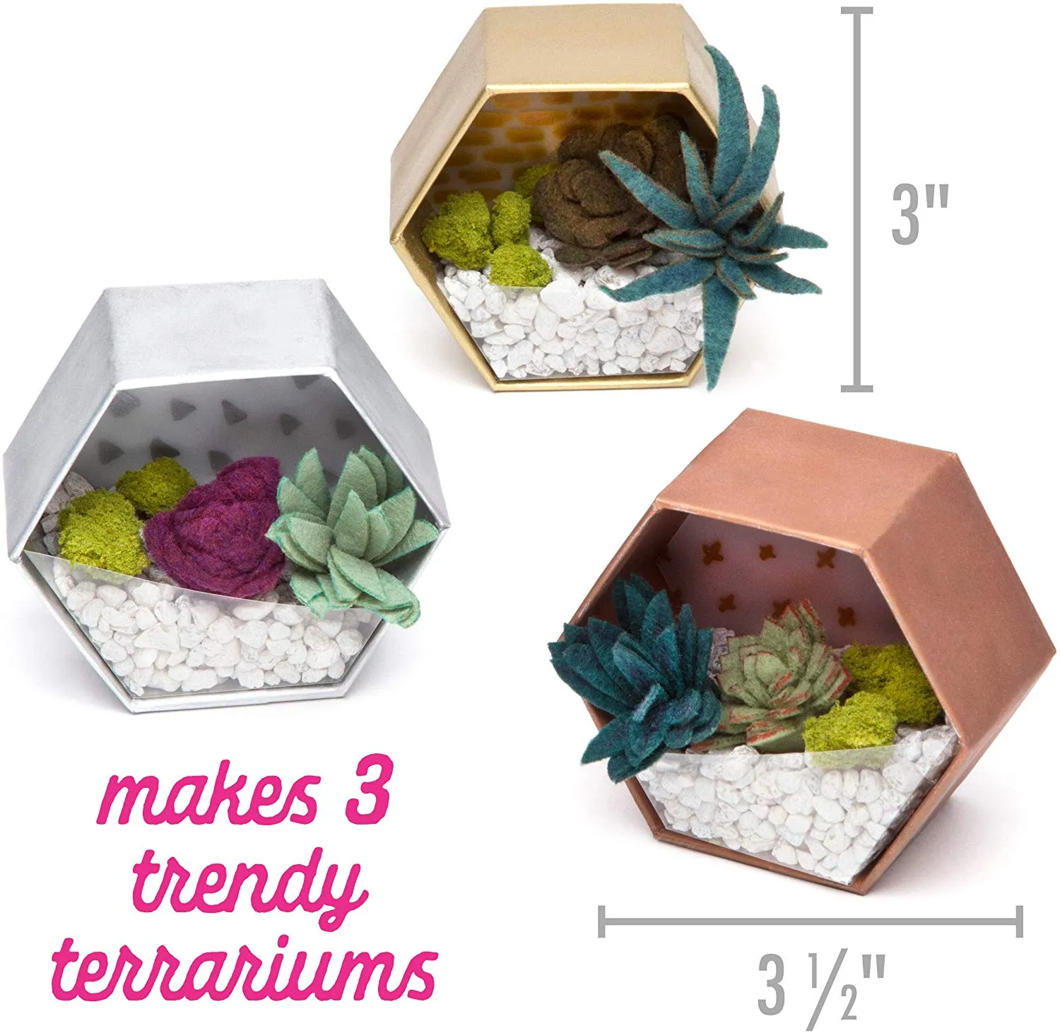 Mini Terrarium Kit