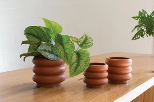 Motley Pot (Medium)