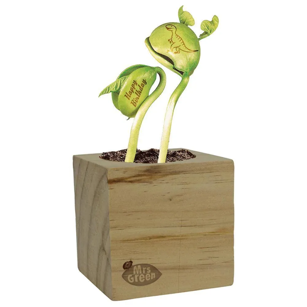 Mrs. Green Garden Kit - Magic Bean