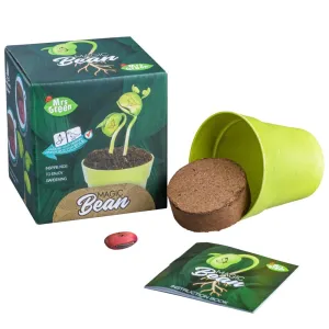 Mrs. Green Garden Kit - Magic Bean
