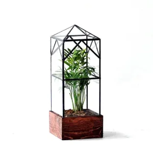 North Tower Terrarium