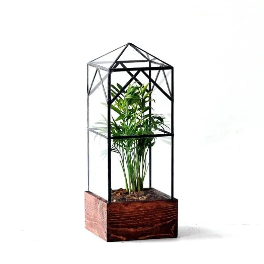 North Tower Terrarium