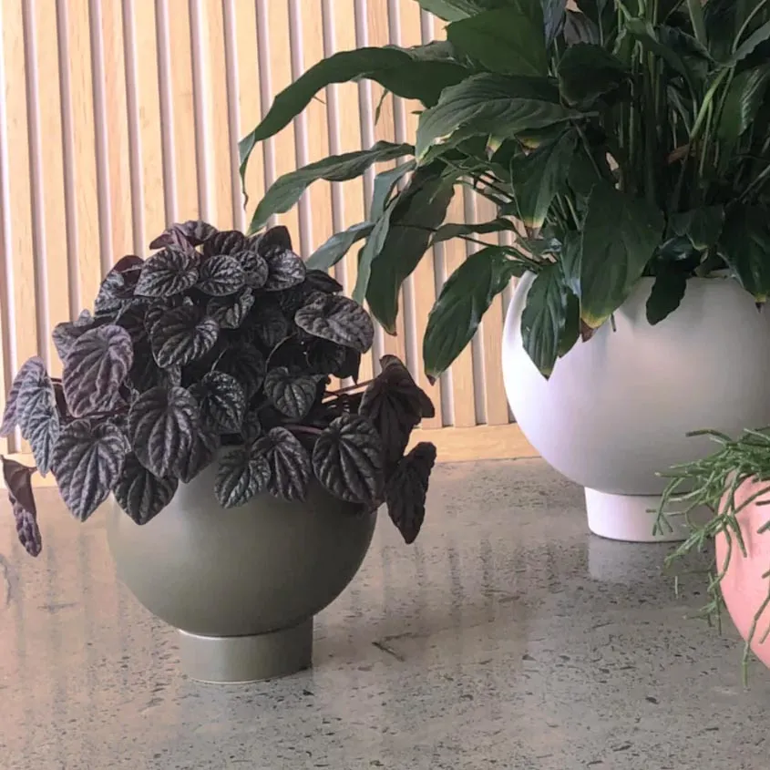 Orbit Planter - Jade